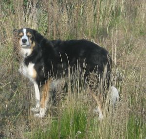 Sommer 2007 Urlaub Poel, Berlin, Atlanta 350.jpg